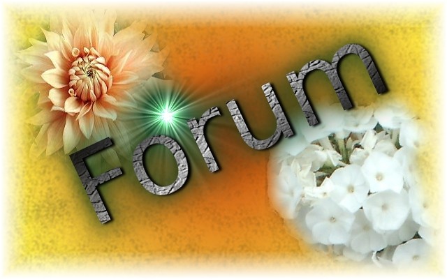 zum Forum