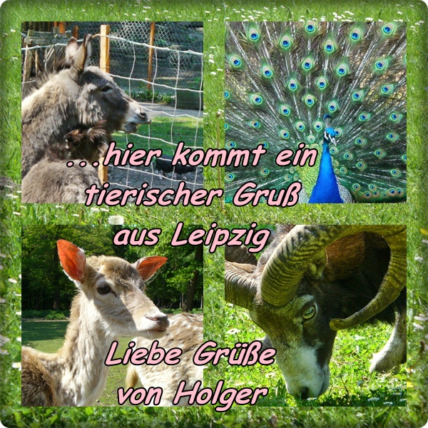 Kostenlos Bilder hochladen bei directupload.net